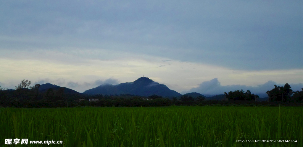 田園風光