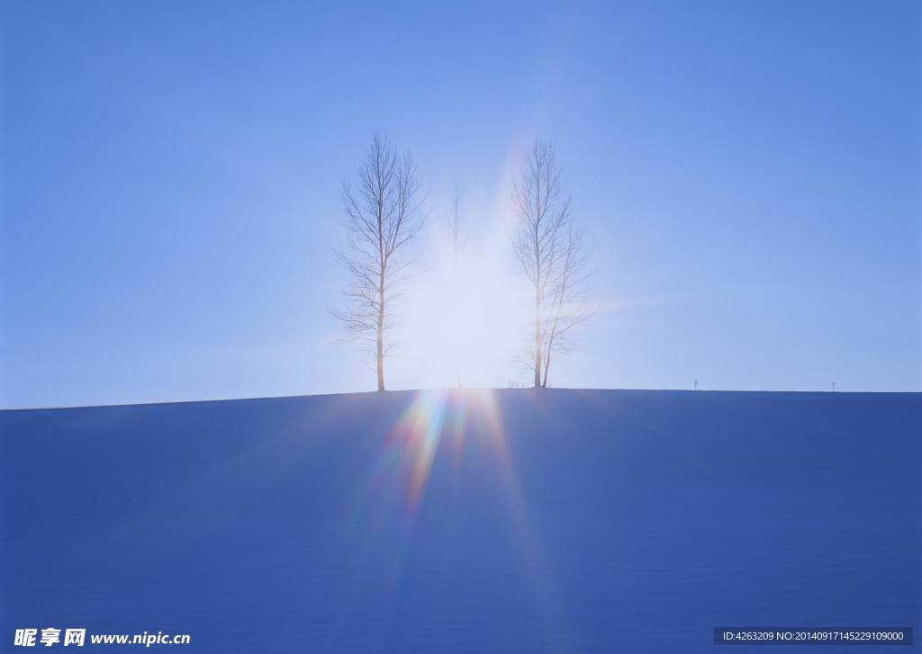 雪中陽光