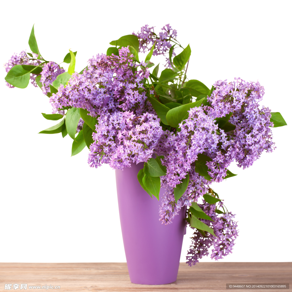 丁香花插花圖片