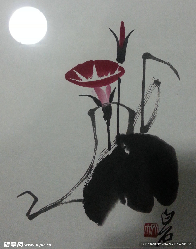 牽牛花