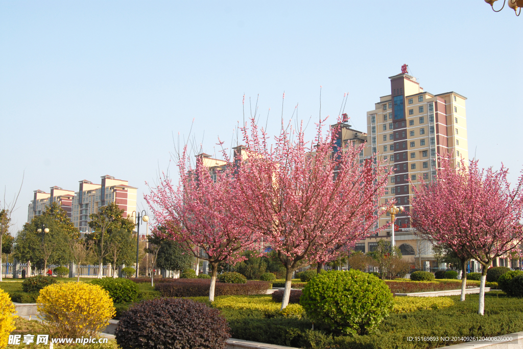 廣場(chǎng)部局圖