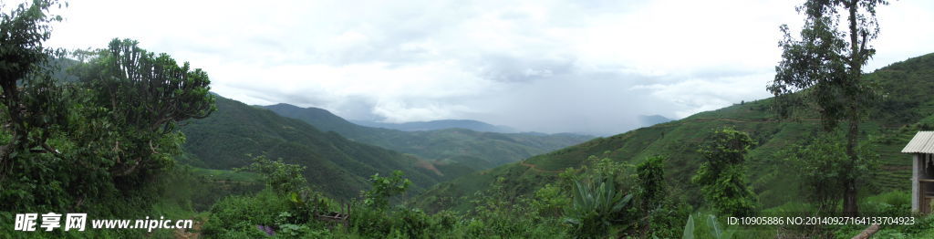 青山