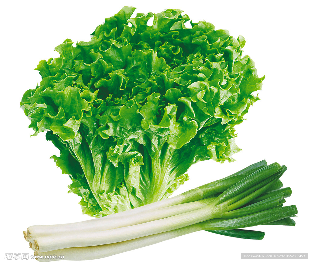 蔥 生菜