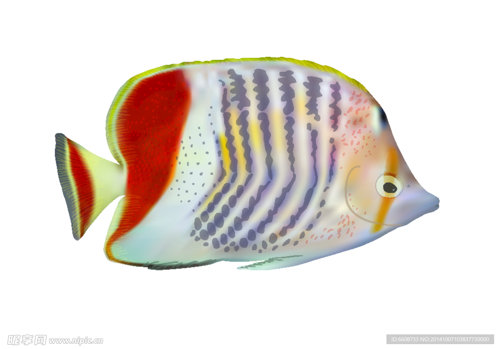 小魚