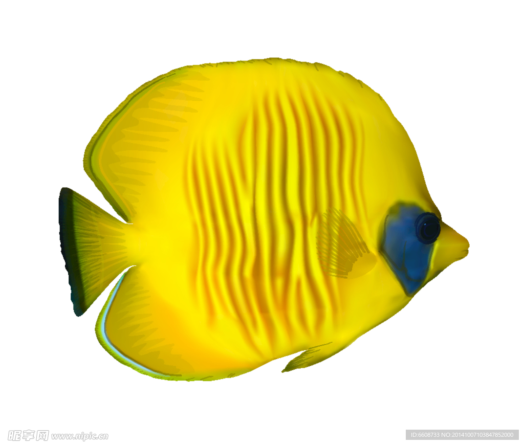 小魚