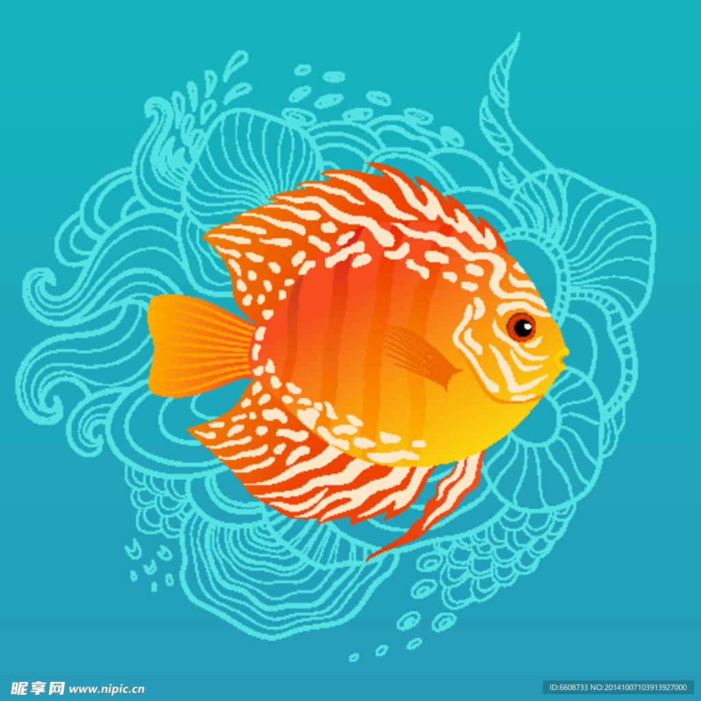小魚