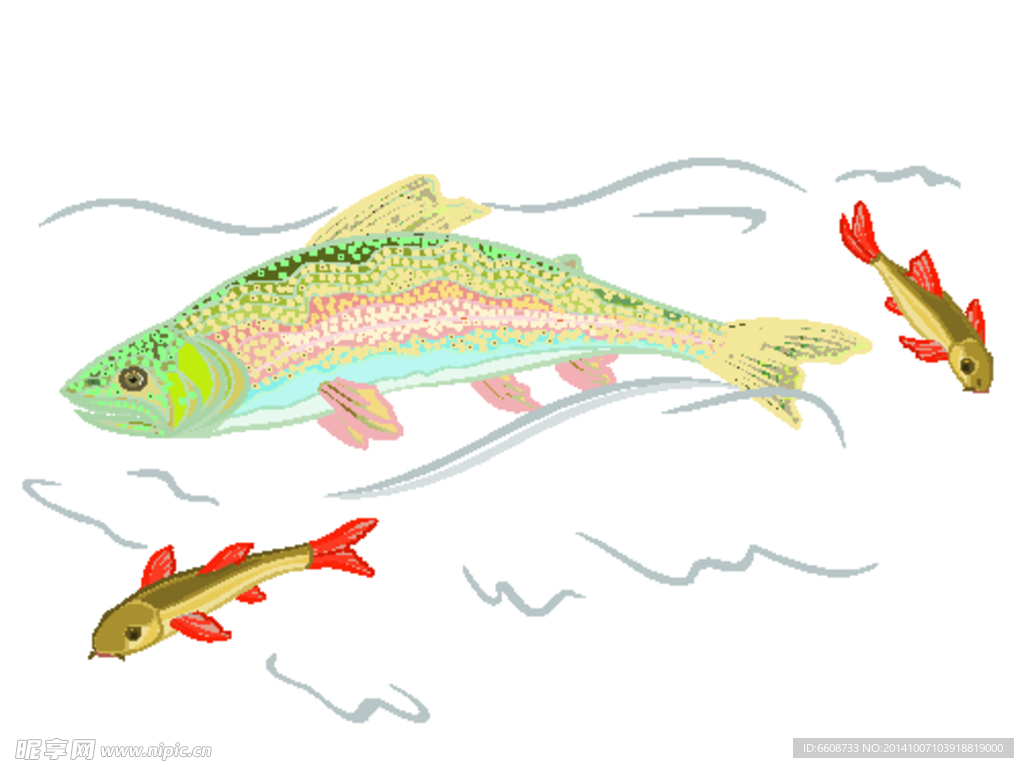 小魚