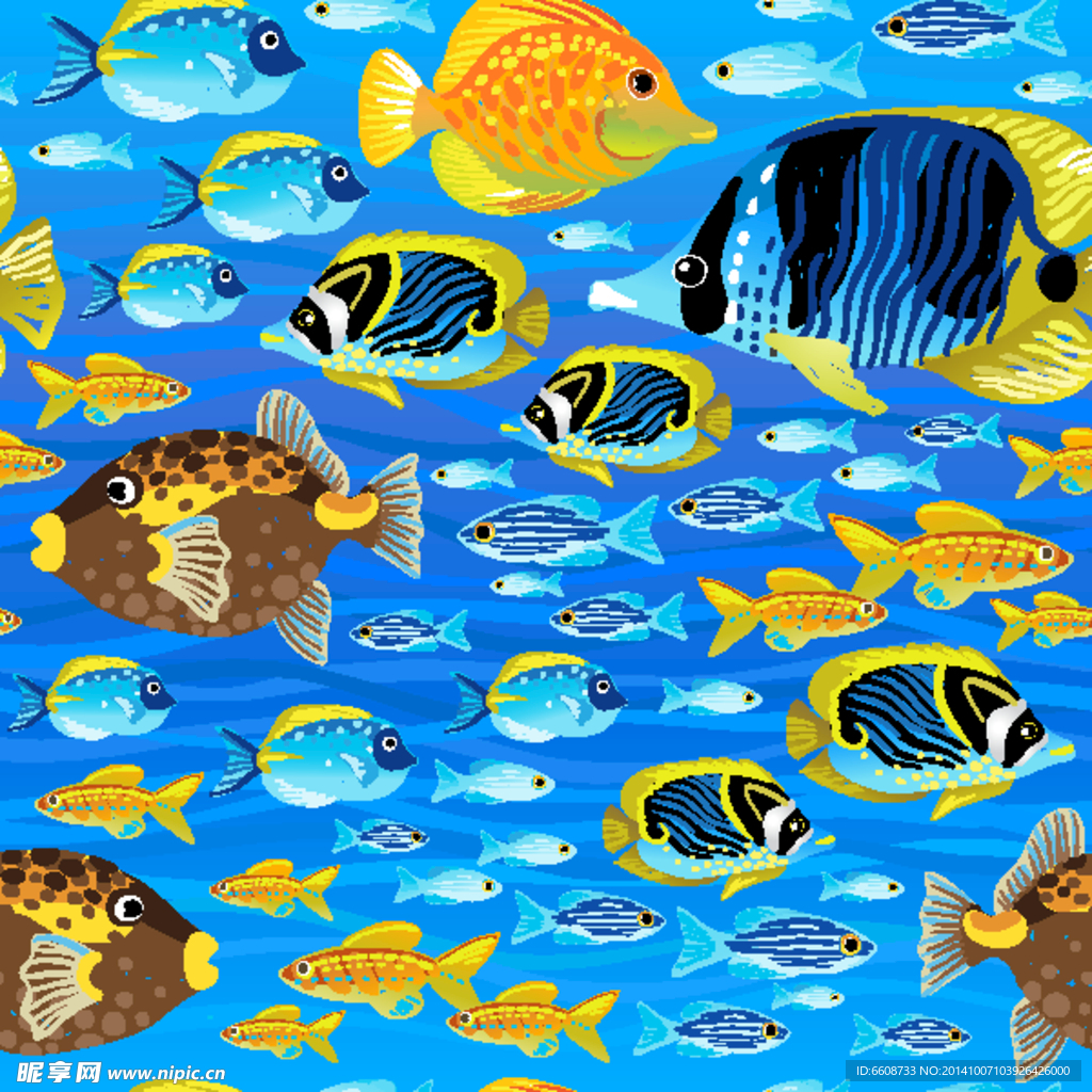 小魚