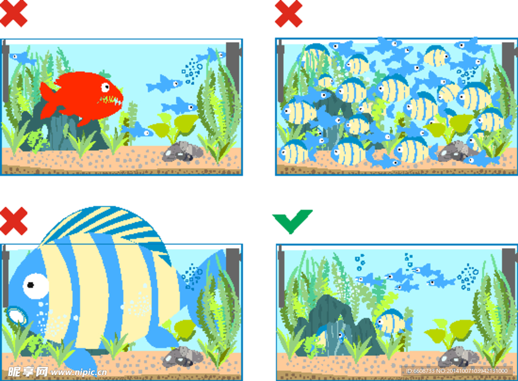 小魚