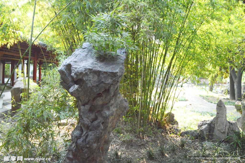 園中石