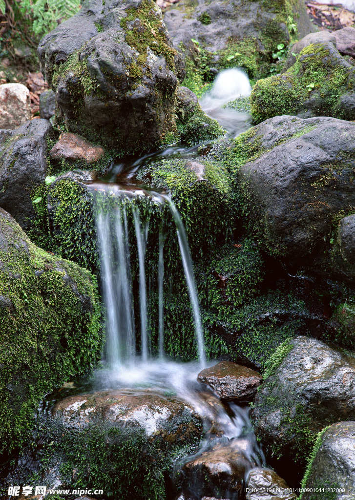 小溪流