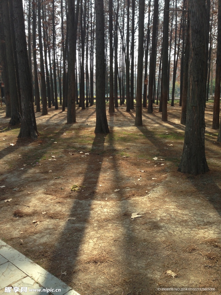 解放公園