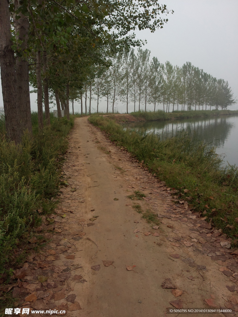 鄉村小路