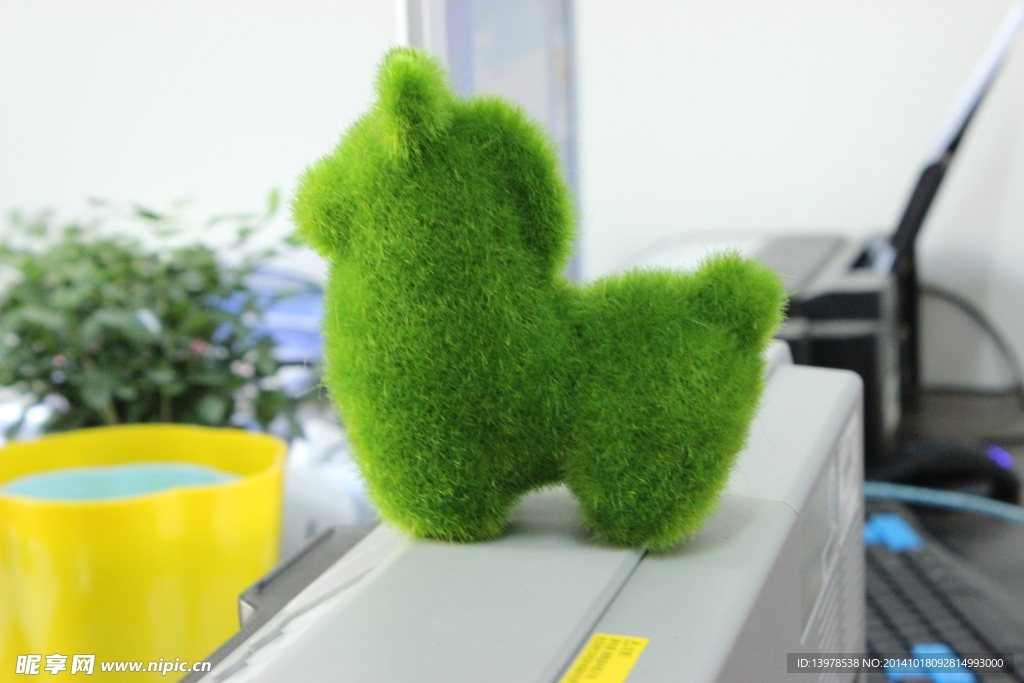 綠色植物  小清新 桌