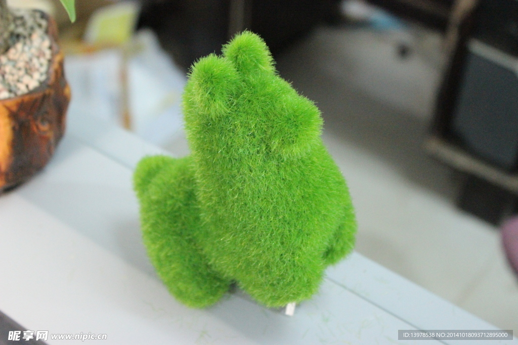 綠色植物 草尼馬 小清