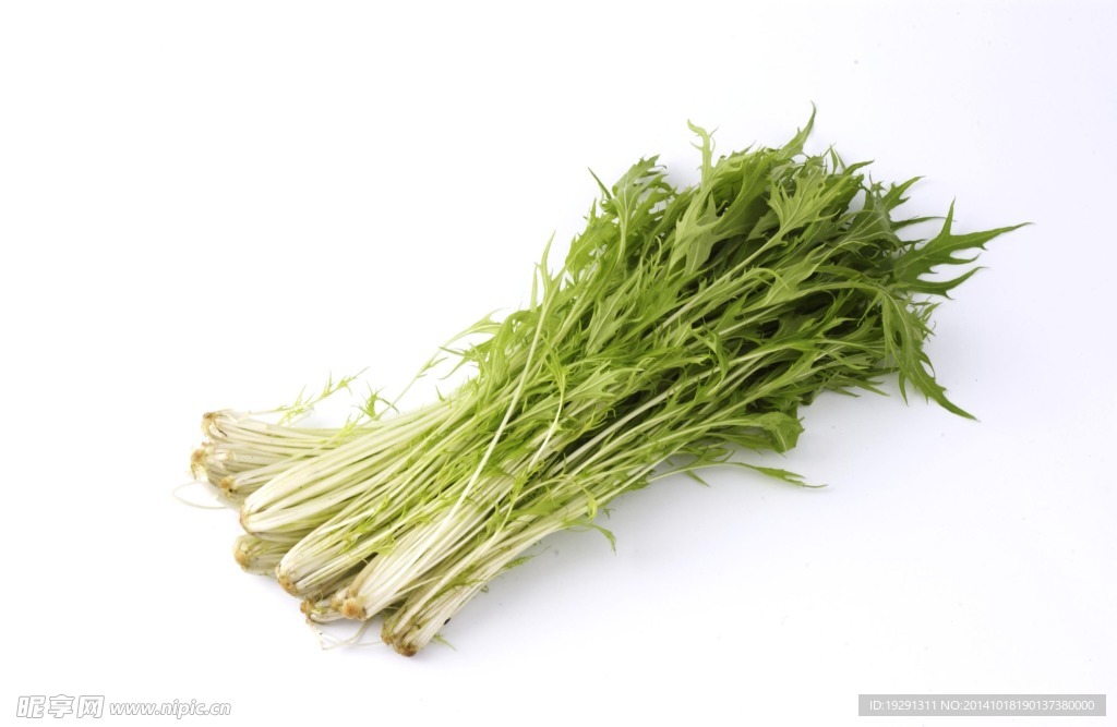 小青菜