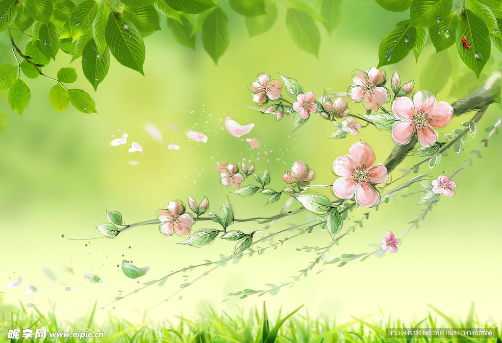 櫻花