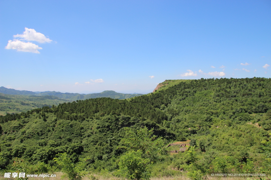 山林