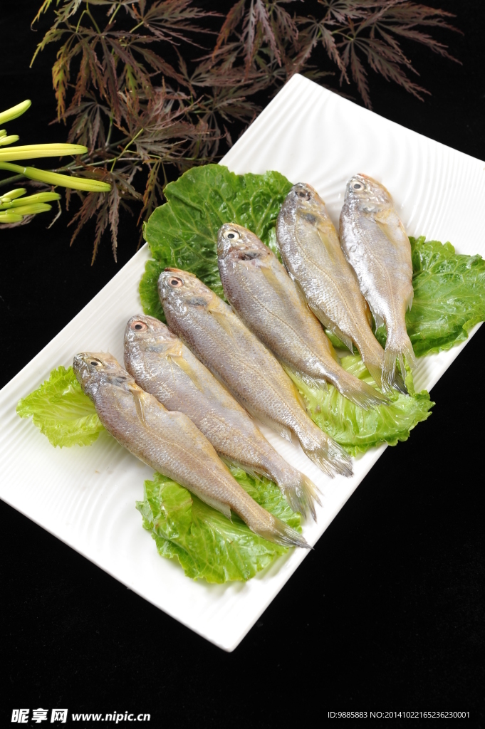 大梅魚