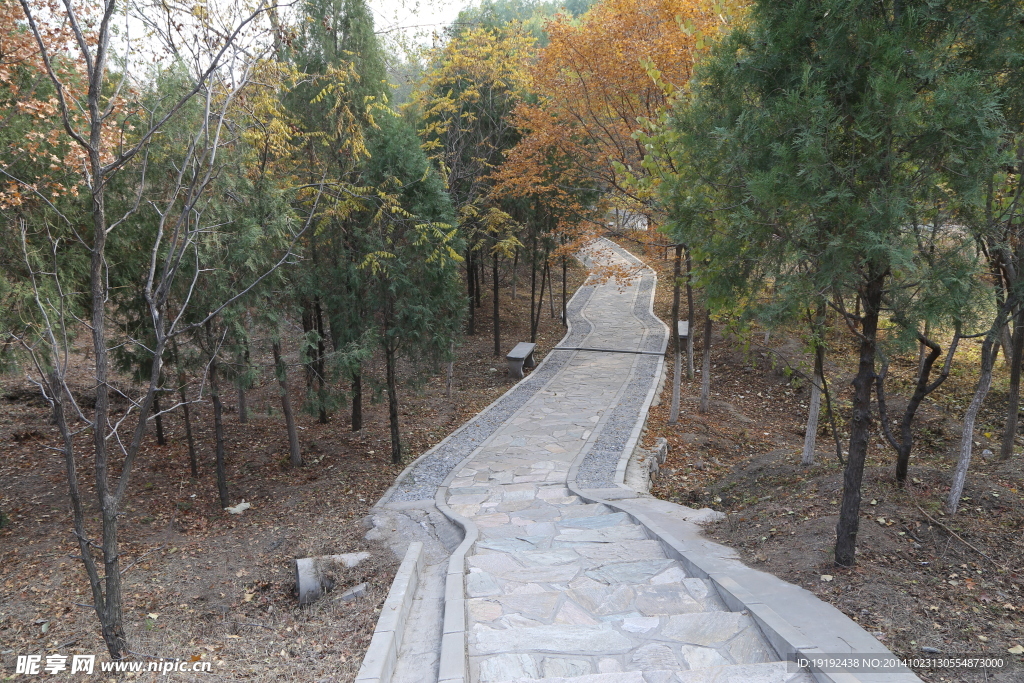山路景觀