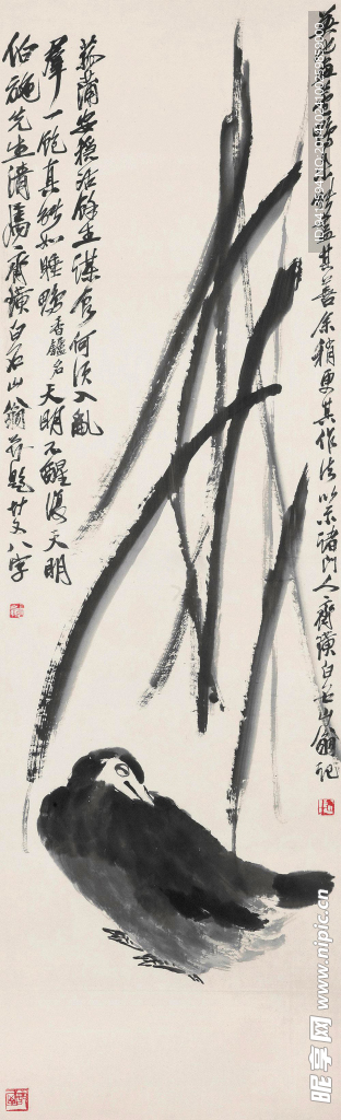 蒲葉眠鴨