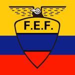 厄瓜多尔队标志
