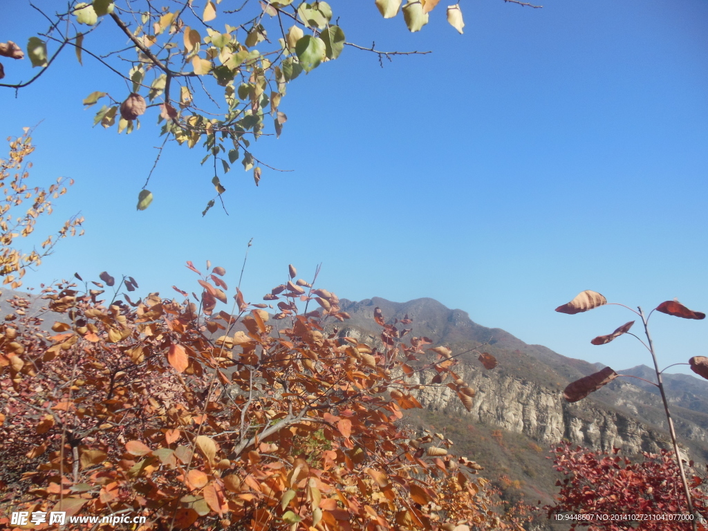 坡峰嶺秋景