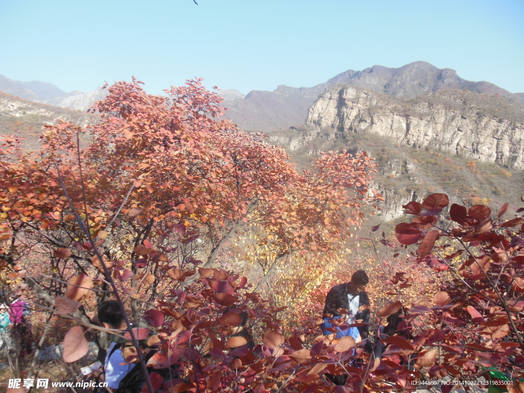坡峰嶺秋景