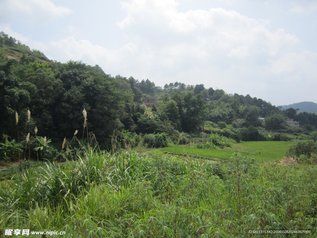 鄉村田園美景