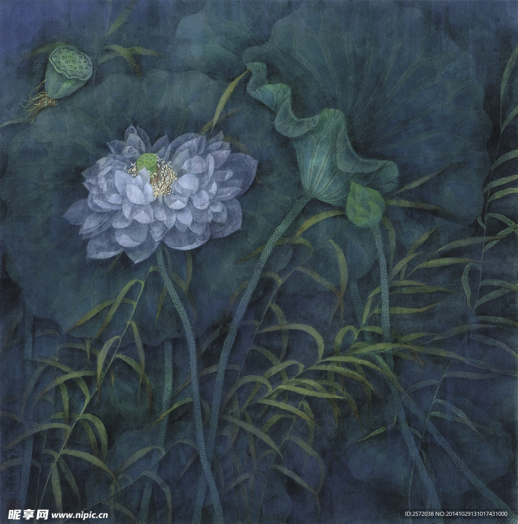 似霧似雨