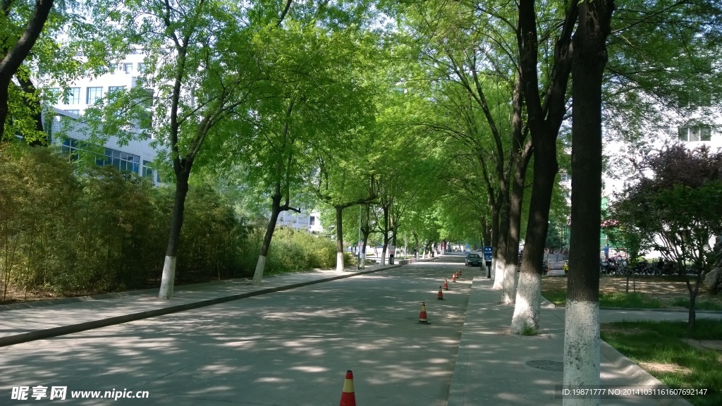 山大風光