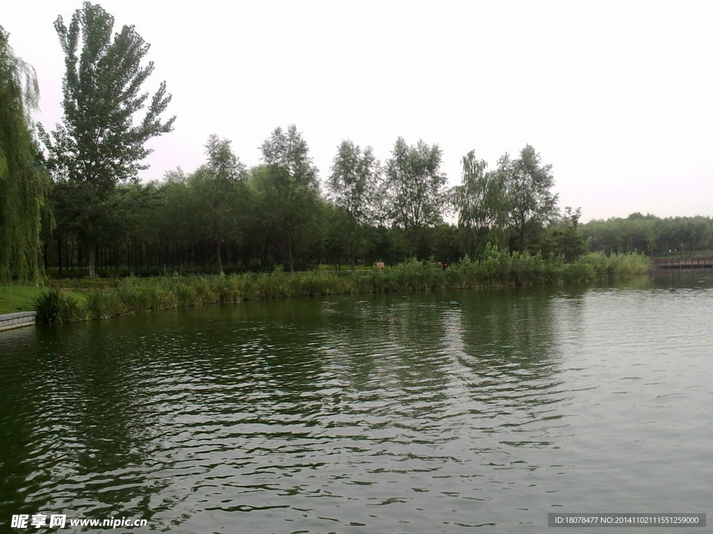 念壇公園的湖