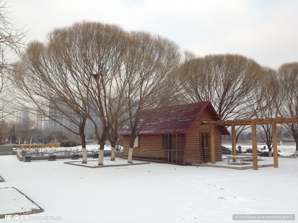 瑞雪東柳