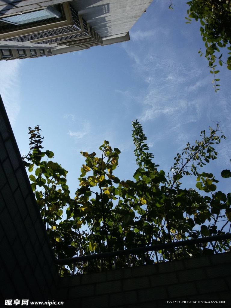 仰望天空