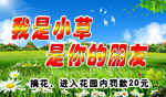 愛護花草