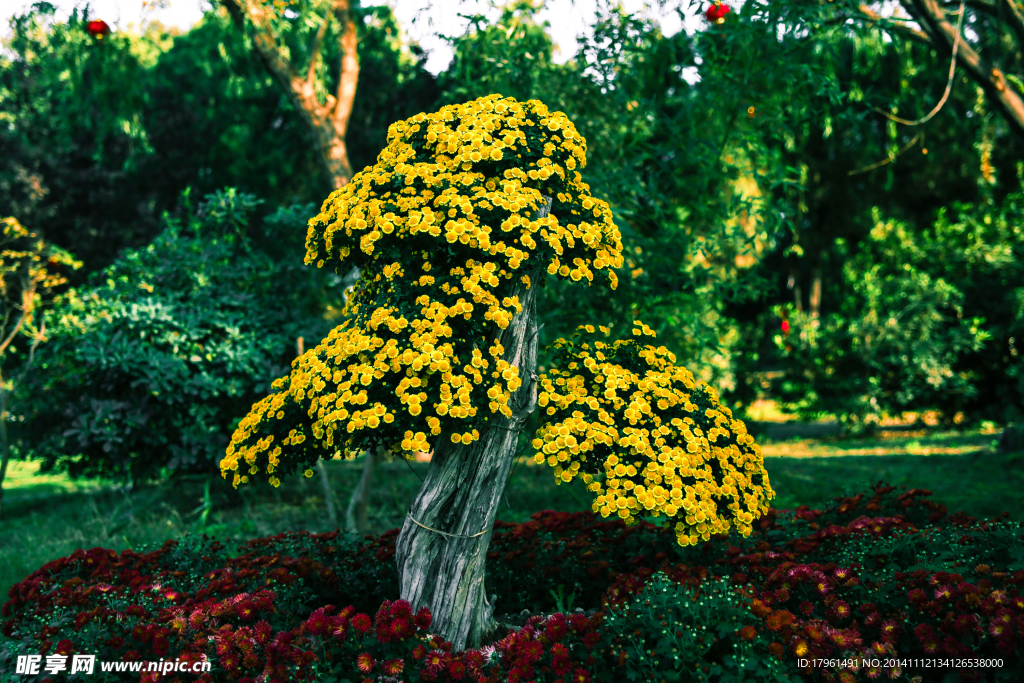 唯美奧林匹克公園