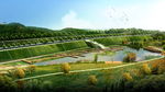 河道景观湿地设计