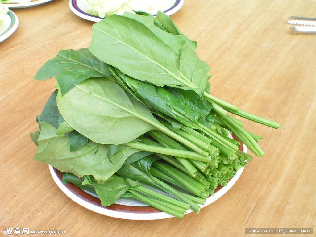時令菜心 時令鮮蔬