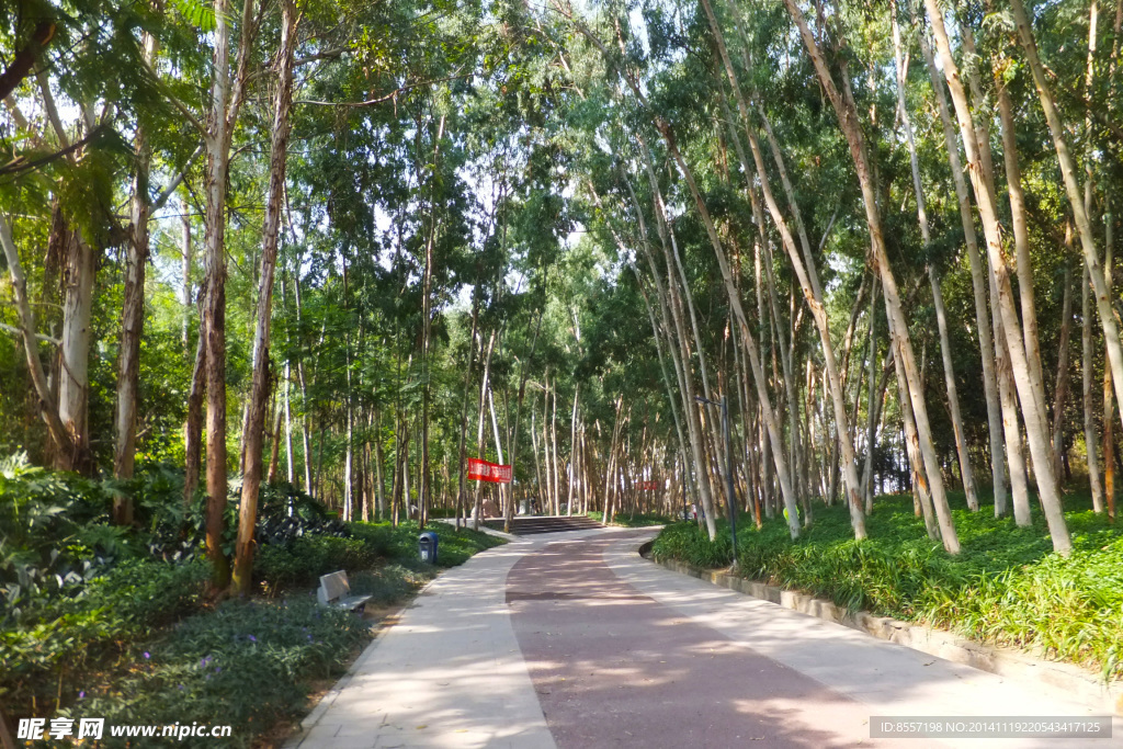 公園