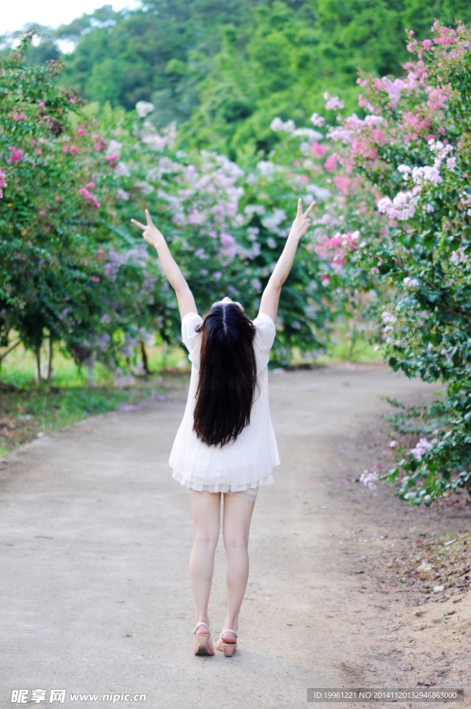 紫薇花