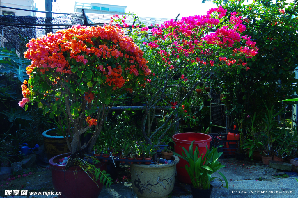 萬(wàn)紫千紅私家花園