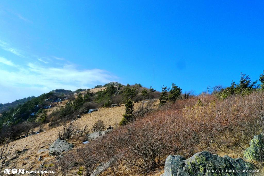 凍山