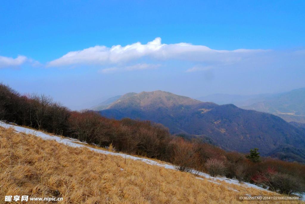 凍山