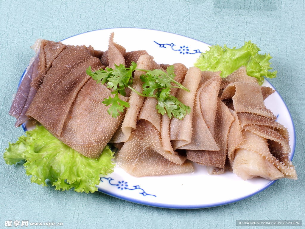 鮮葉柏葉