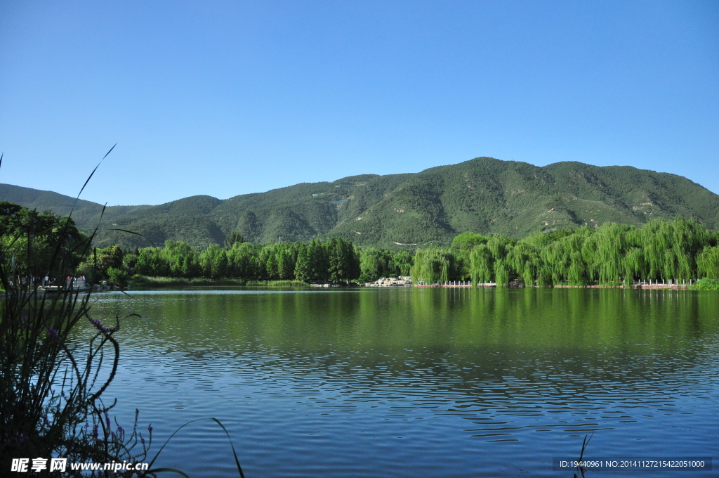 水景