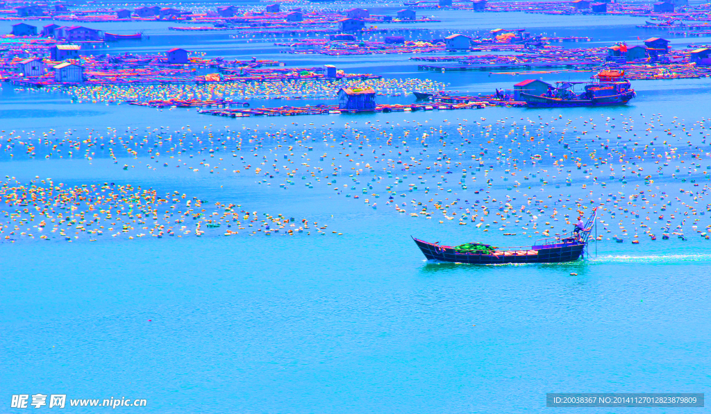 大海