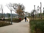 江边公园
