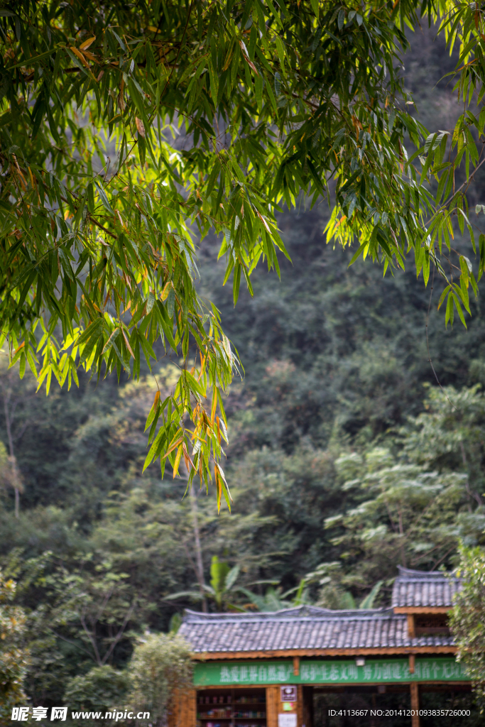 天星橋景點(diǎn)