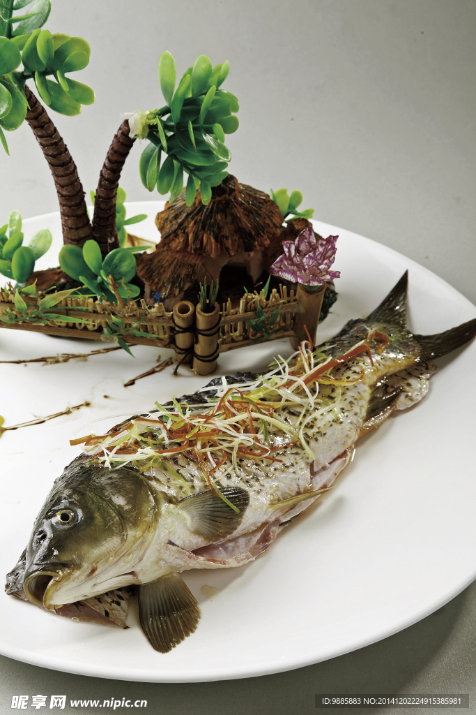 清蒸鯉魚