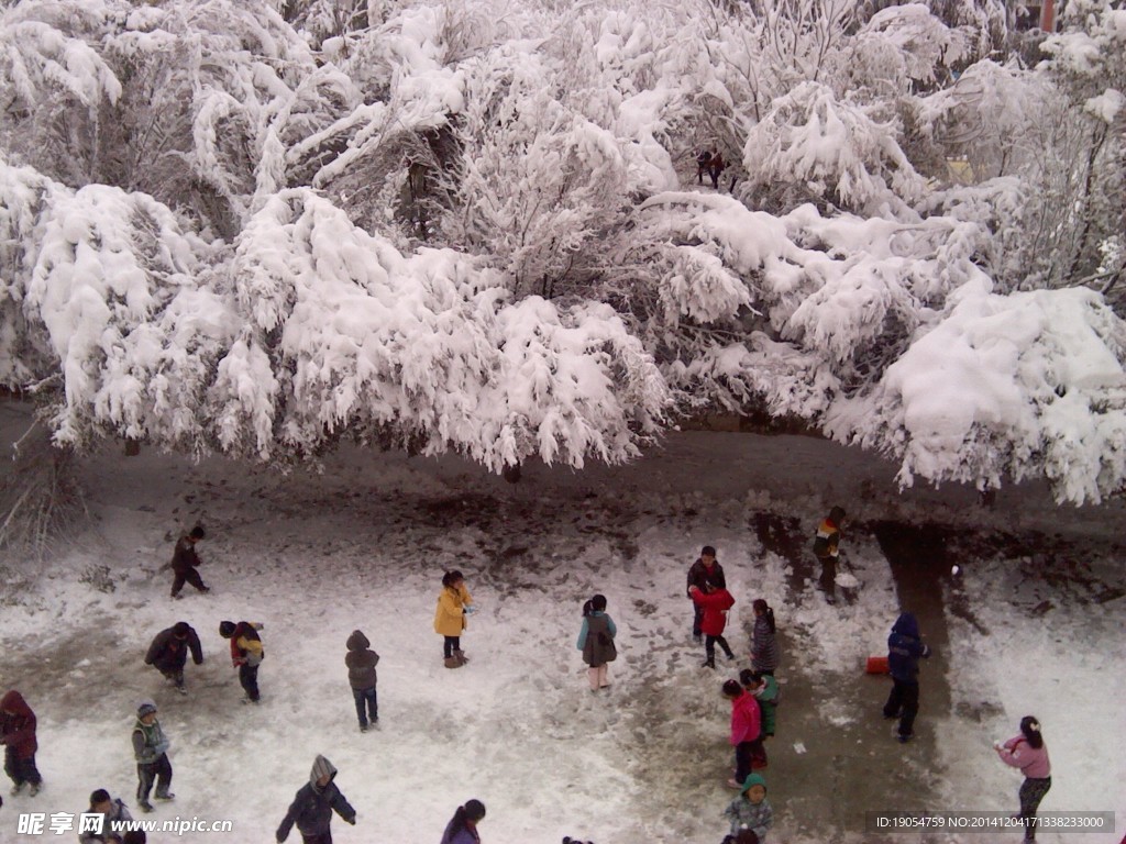 校園雪景